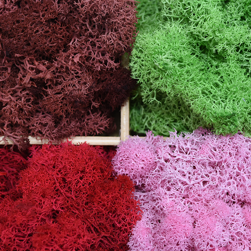 Quality Artificial Green Moss Grass 20g40g Available In 13 Colors Perfect For Diy Home Decor Flower Arrangements Micro Landscapes - 4