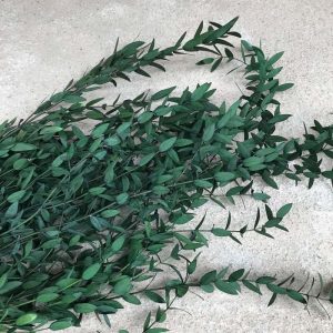 80g Bundle Real Dried Natural Fresh Forever Preserved Fine Leaf Eucalyptus Branch Decorative Eternal Leaves Garland - 2