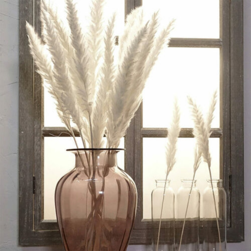 Natural Dried Small Pampas Grass 15pcs Phragmites Artificial Plants For Elegant Home Decoration - 8