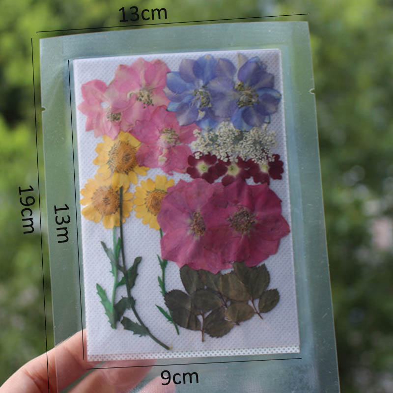 1521pcs Diy Preserved Mini Dried Flowers Bagged Pressed Floral Decorations For Home And Crafts - 14