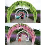 Silk Wisteria White Artificial Flowers Vine Ivy Plant Fake Tree Garland Hanging Flower Wedding Decor For Hotel Home Decoration - 5