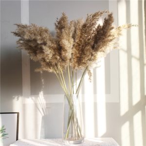 20 Pcs Wedding Pampas Grass Flower Bunch Natural Dried Reed Raw Color Home Decor - 2