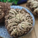 Jarown Fern Dried Flower Magic Resurrection Plant Tiger Claw Wild Selaginella Home Garden Decoration Rose Of Jericho Dinosaur