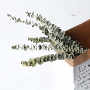 Natural Dried Flowers Eucalyptus Leaf Decor House Table Landscaping Fake Diy Palnt Wedding Party Home Decoration - 2