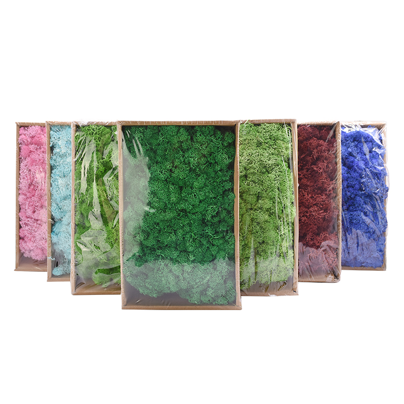 40g Diy Home Decor Wall Accessories Artificial Lifelike Moss Mini Garden Landscape Flower Crafting Material - 4