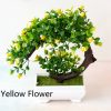 Yueya Yellow Flower