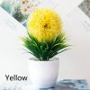Jinyucao Yellow