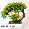 Yueya Orange Flower