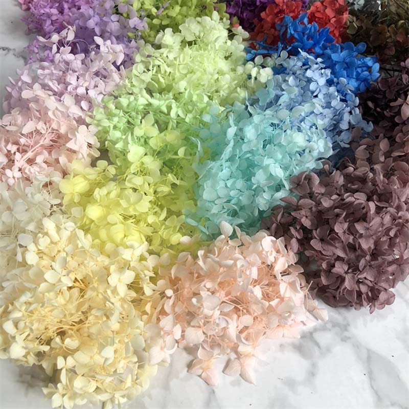 Natural Preserved Hydrangea Flower Heads 3g Lot Fresh Dried Diy Materials For Eternal Life Crafts - 4