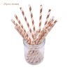 25pcs-s05